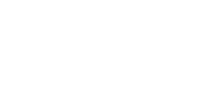 Debra Schatzki logo - white